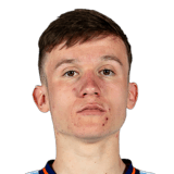 Mitja Ilenic