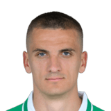 Nenad Cvetkovic