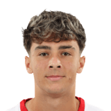 Denis Taroi