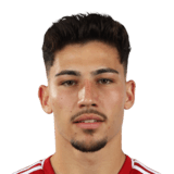 Giovani Ghimfus