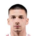 Viktor Radojevic