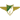 Moreirense
