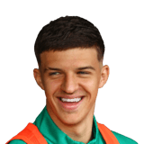 Tarik Muharemovic
