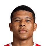 Vinicius Lopes