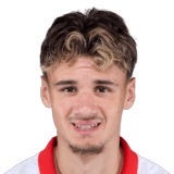 Kerim Alajbegovic