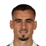 Andrija Radulovic