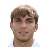 Mihajlo Cvetkovic