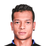 Fredy Guarin
