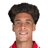 Axel Witsel