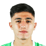 Nicolas Aedo