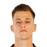 Radek Vitek