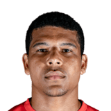 Vinicius Lopes