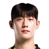 Choi Jin Woong