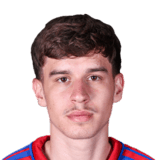 Bogdan Mircetic