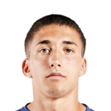 Nicolas Barros Schelotto