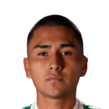 Tomas Cayuqueo