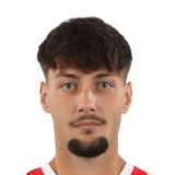 Razvan Radu