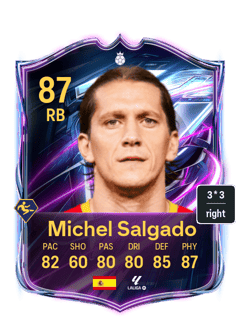 Michel Salgado