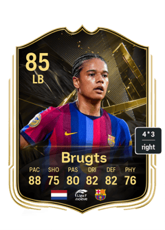 Brugts
