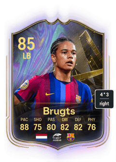 Brugts