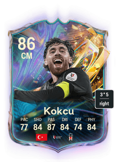 Kokcu