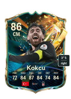 Kokcu