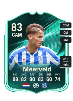 Ringo Meerveld
