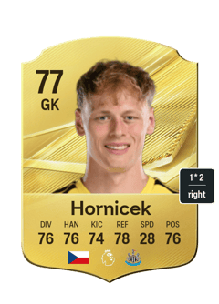Lukas Hornicek