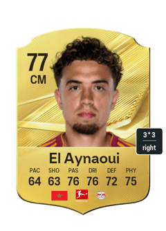 Neil El Aynaoui