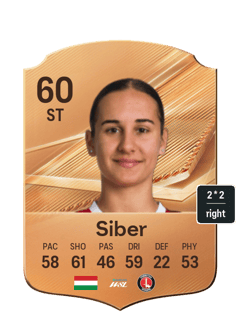 Siber