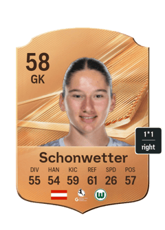 Schonwetter