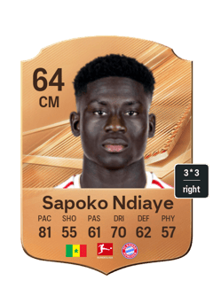 Sapoko Ndiaye