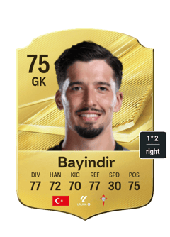 Altay Bayindir
