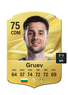 Ilia Gruev