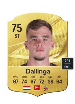 Thijs Dallinga
