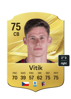 Martin Vitik