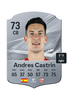 Andres Castrin