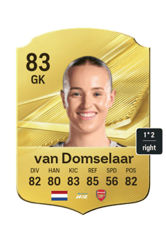 van Domselaar