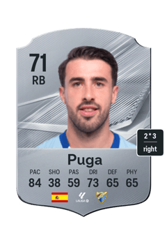 Puga