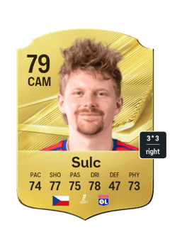 Sulc