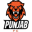 Punjab FC