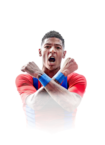 Patrick van Aanholt