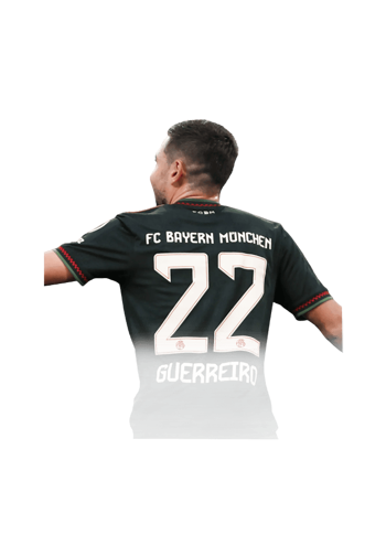 Raphael Guerreiro