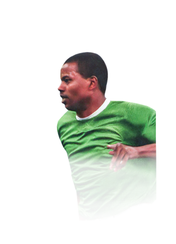 Saeed Al Owairan