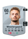 Other version of Magnus Westergaard