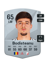 Other version of Stefan Bodisteanu