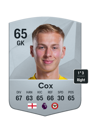 Other version of Matthew Cox