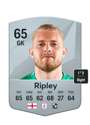 Other version of Connor Ripley