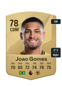 Other version of Joao Gomes