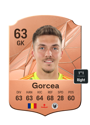 Other version of Andrei Gorcea